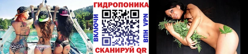 Где найти наркотики Адыгейск Галлюциногенные грибы  Альфа ПВП  Меф мяу мяу  ГАШИШ  МАРИХУАНА  Cocaine 