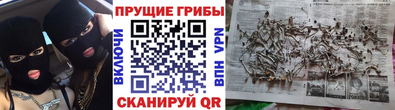Галлюциногенные грибы мицелий  kraken tor  Адыгейск 